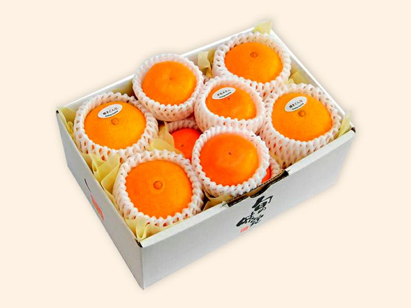 媛まどんなと愛媛みかんAセット（包装有） | のま果樹園
