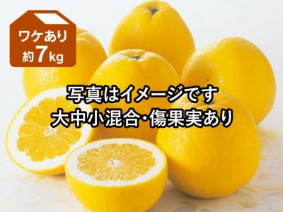 ポンカン約3kg-家庭用 | のま果樹園