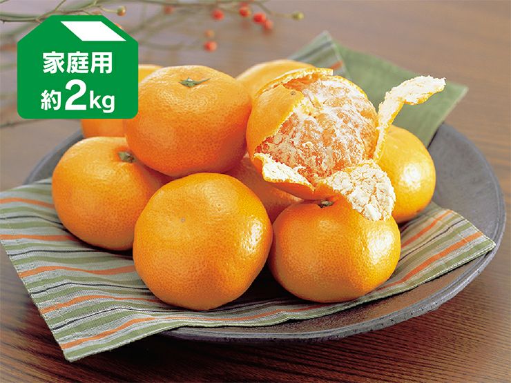 愛媛蜜柑 販売終了】早生温州5kg×2箱（玉津みかん） - 愛媛県産玉津 UWAJIMA