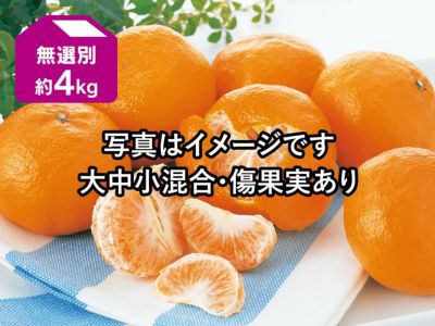 雑誌で紹介された わか ネーブル4kg+河内晩柑8kgぐるりん 果物
