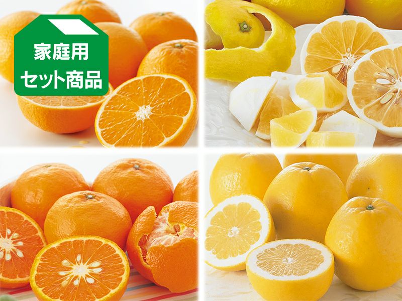 かんたろう様専用 河内晩柑7kg×2箱ぐるりん