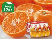 人気ブランド 柑橘の雫・飲むゼリー みかん のま果樹園 | 12個入り ペットカート