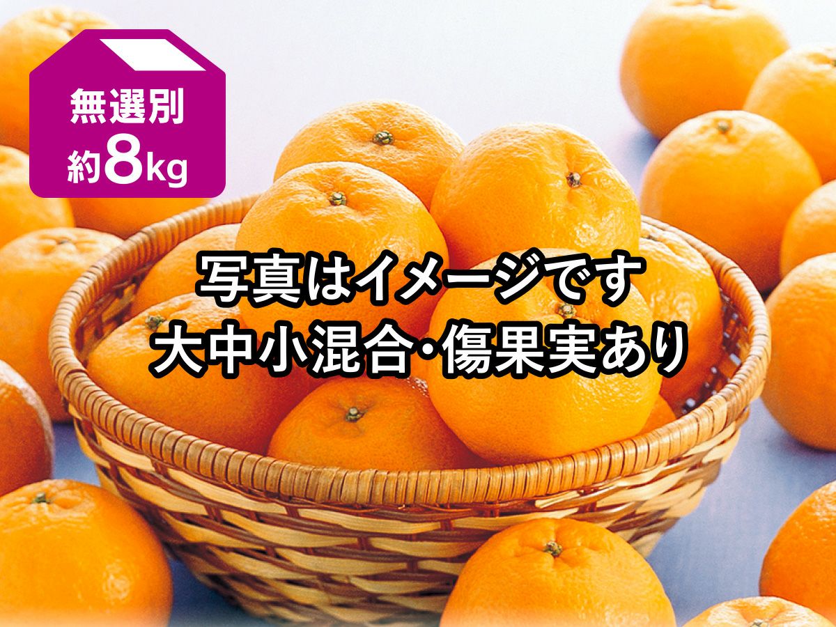 ワケあり極早生みかん約9kg | のま果樹園
