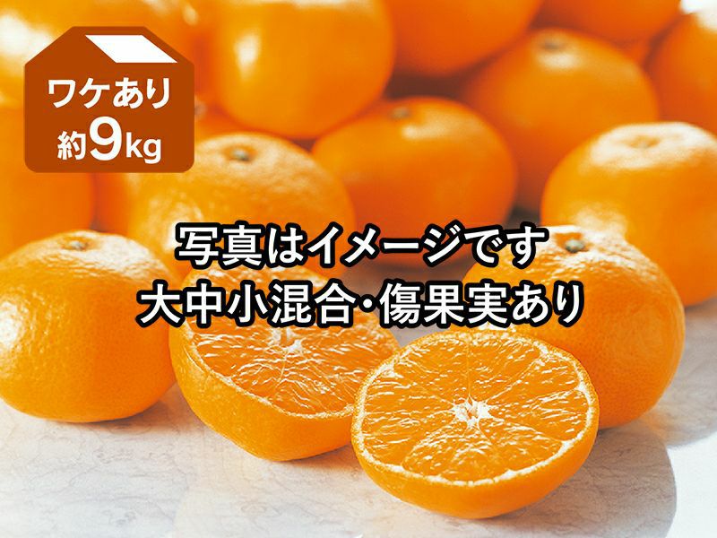 みかん① EAST BEE 温州みかんジュース 1L (ミカン オレンジ フルーツ