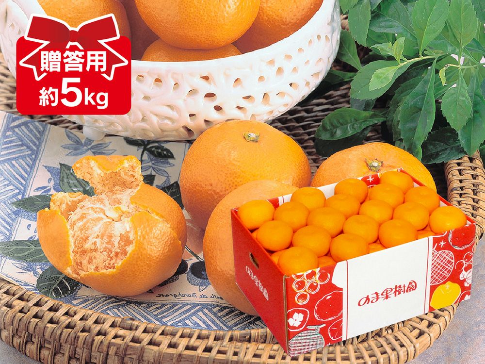 愛媛みかん5kg-贈答用 | のま果樹園