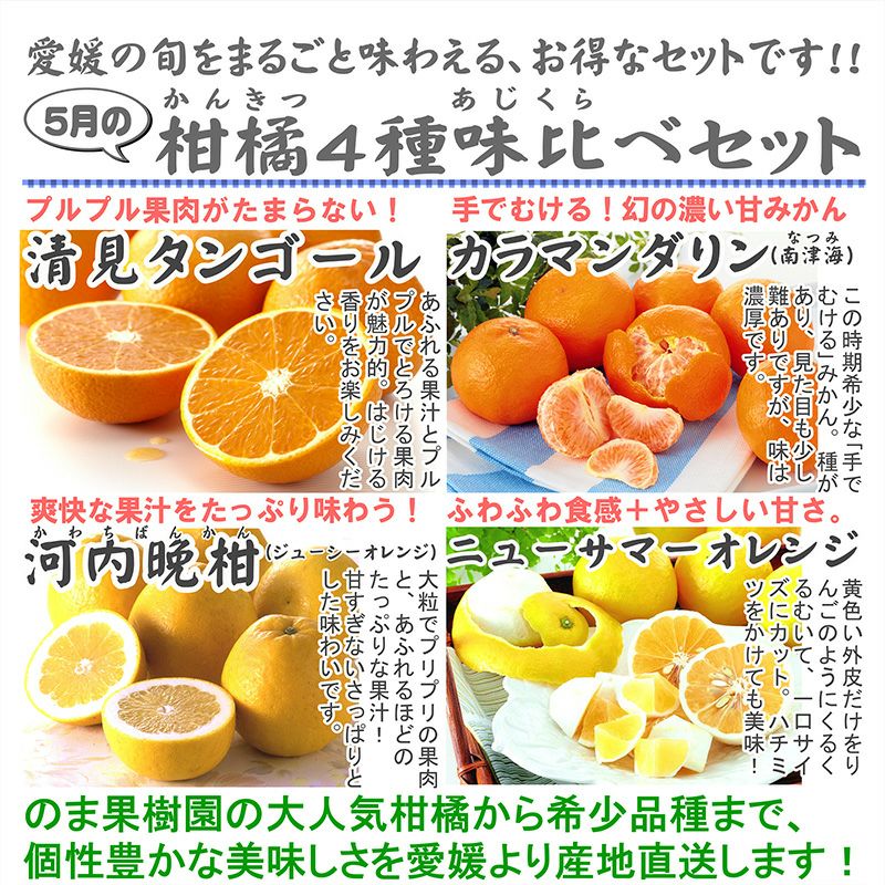 5月の柑橘4種味比べセット 