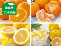 5月の4種セット
