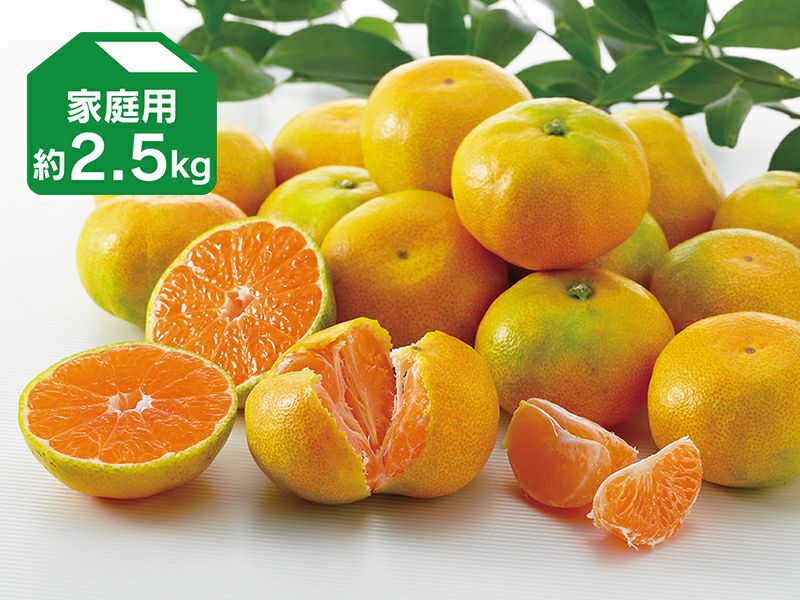 000000001966-02-s.jpg?t=