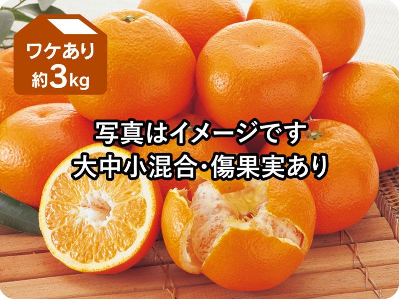 イヨカン ワケあり宮内いよかん約3kg | のま果樹園