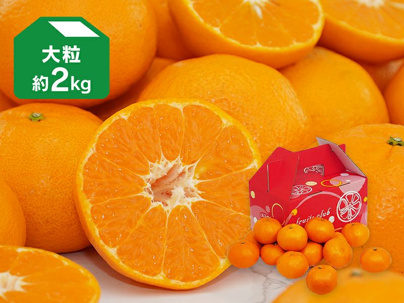 maimai2様専用】山梨県産ゴルビーの粒 箱込2kg弱 令和7