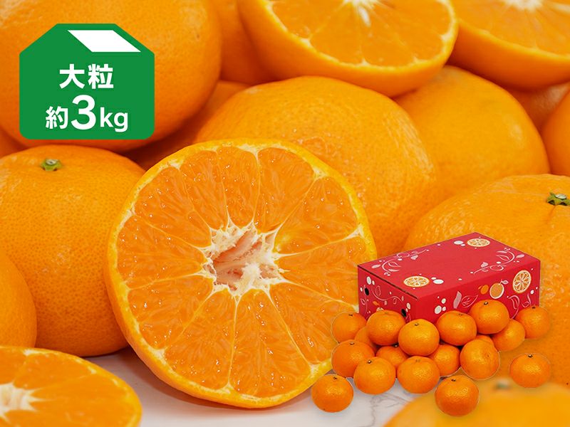 たまみ 約3kg-家庭用・大玉(2～3L玉) | のま果樹園