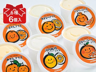 6種のしまなみみかんアイス6個入(各1個) プチセット