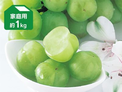 瀬戸ジャイアンツ（桃太郎ぶどう）約2kg-家庭用 | のま果樹園