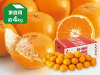 はれひめ4kg-家庭用 | のま果樹園