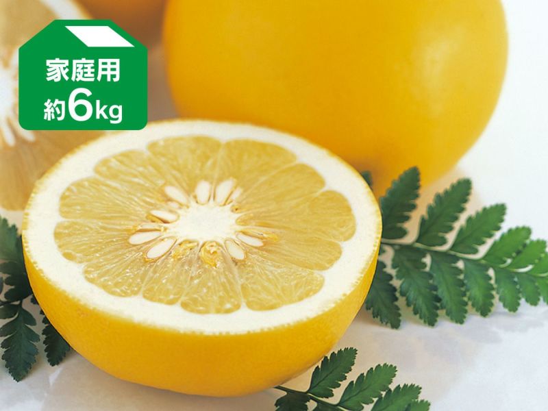 Amazon.co.jp: 土佐の旨味市場 文旦 土佐文旦 家庭用 5kg L～4L