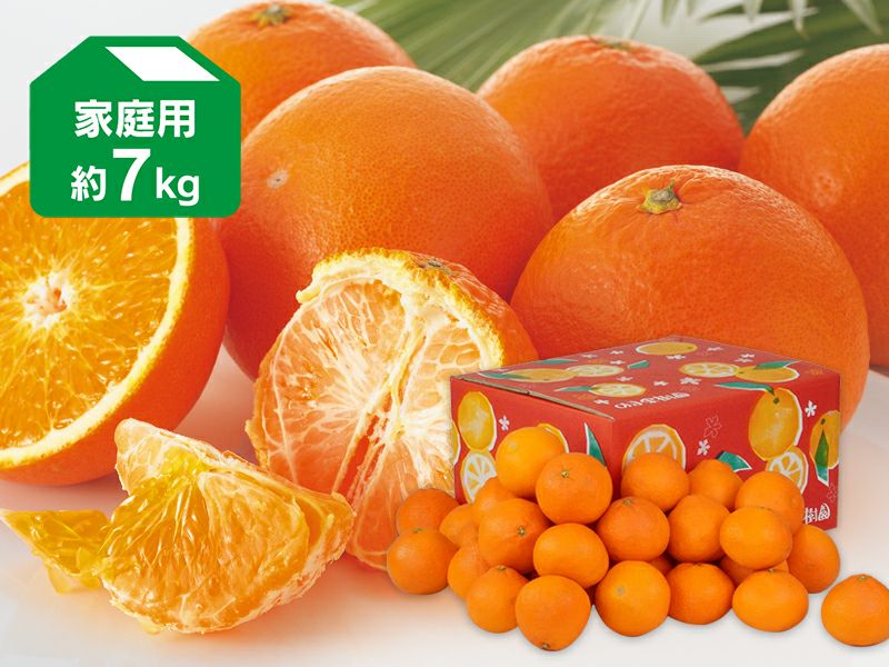 西之香 約3kg | のま果樹園