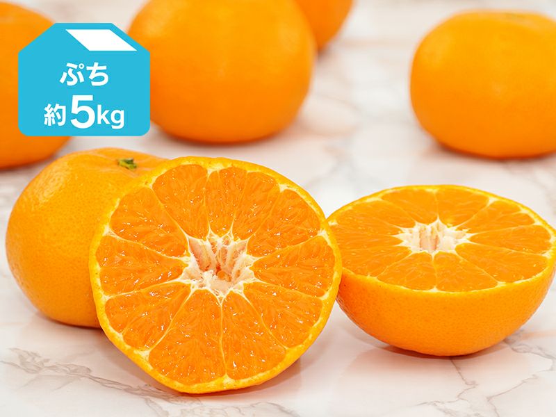 プチたまみ 約5kg・(2S玉中心) | のま果樹園