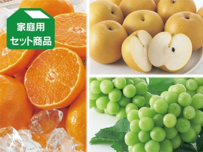 せとか20㎏(家庭用)まゆ 楽天市場】【せとか】 みかん 1年生接木苗 登録品種・品種登録