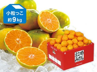 ミカン 極美品 極早生みかん約5kg-小粒っ子 | のま果樹園