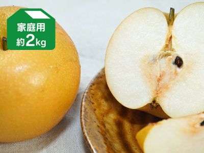 あきづき 約2kg 家庭用 | のま果樹園