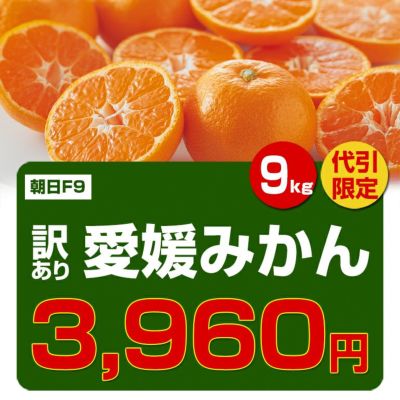 ワケあり愛媛みかん約9kg