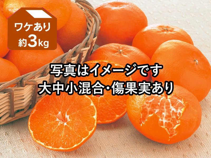 ハウスせとか(贈答用） | のま果樹園