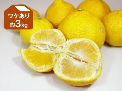 Amazon.co.jp: みかん 媛小春 ひめこはる 秀品 大きさおまかせ