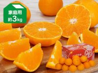 数量限定】紅プリンセスと同品種 愛媛果試48号 訳あり 2kg