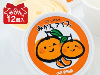 しまなみみかんアイス12個入