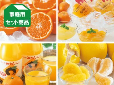 媛小春（ひめこはる） 約5kg | のま果樹園