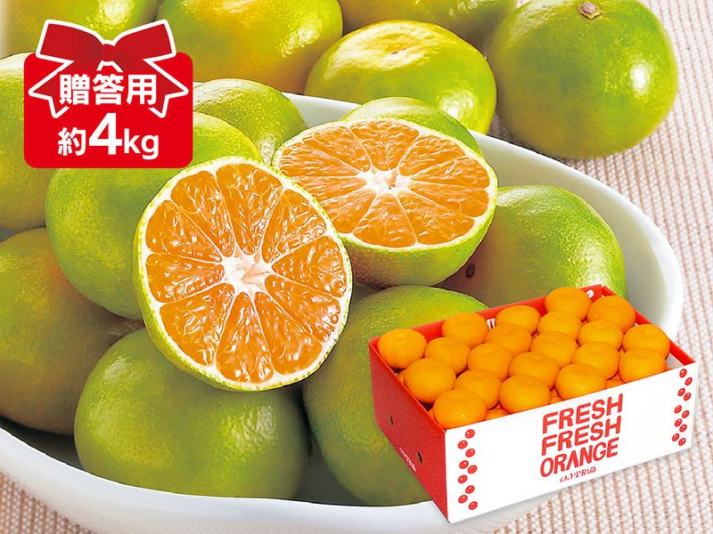 とーる　おまとめ割引　まどんな4キロ　極早生みかん10キロ 極早生みかん約4kg-贈答用 | のま果樹園