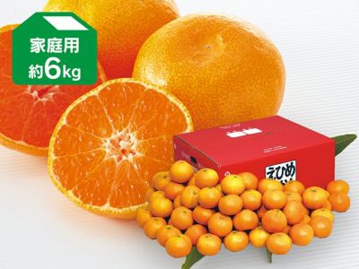 愛媛みかん6kg-家庭用 | のま果樹園
