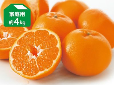 はるみ約4kg-家庭用 レビュー | のま果樹園