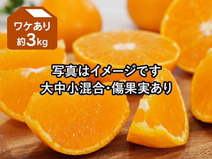 ワケアリ愛媛果試第48号 約3kg | のま果樹園