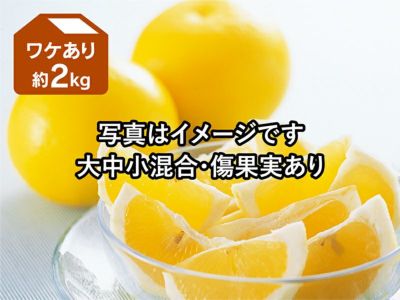 小林果園の柑橘スパークリングジュースセット(2品種・計6本