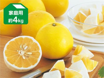 【2024】お歳暮・冬ギフト 甘平 約5kg-家庭用 | のま果樹園 果物