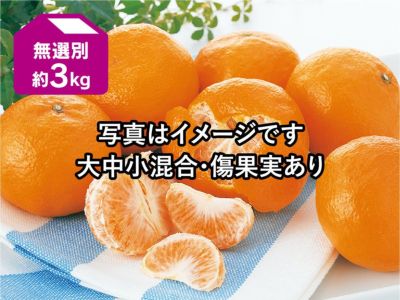 カラマンダリン約3kg 無選別