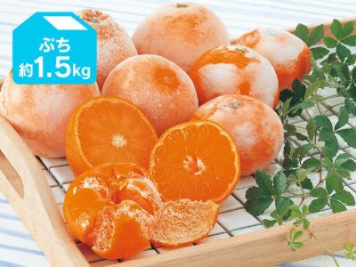 旬柑氷結・ぷち冷凍みかん1.5kg（23～40個）