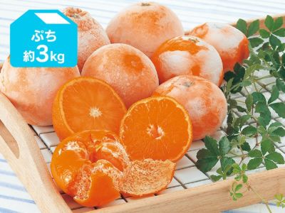 旬柑氷結・ぷち冷凍みかん3kg（48～77個）