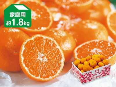 愛媛県生まれの甘い新品種 甘平(2玉入 愛媛県産 白石さん他