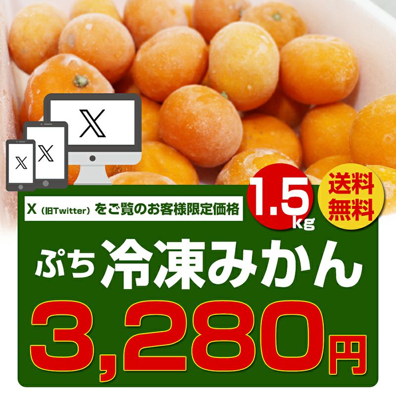 ★冬柑　まとめ買い 000000002522-01-s.jpg?t=