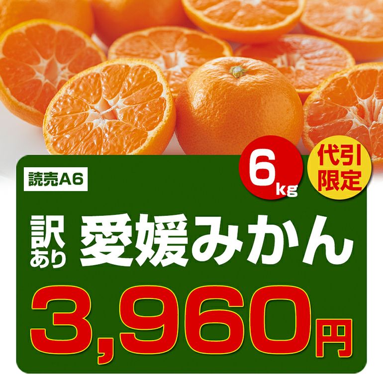 ワケあり愛媛みかん約6kg | のま果樹園