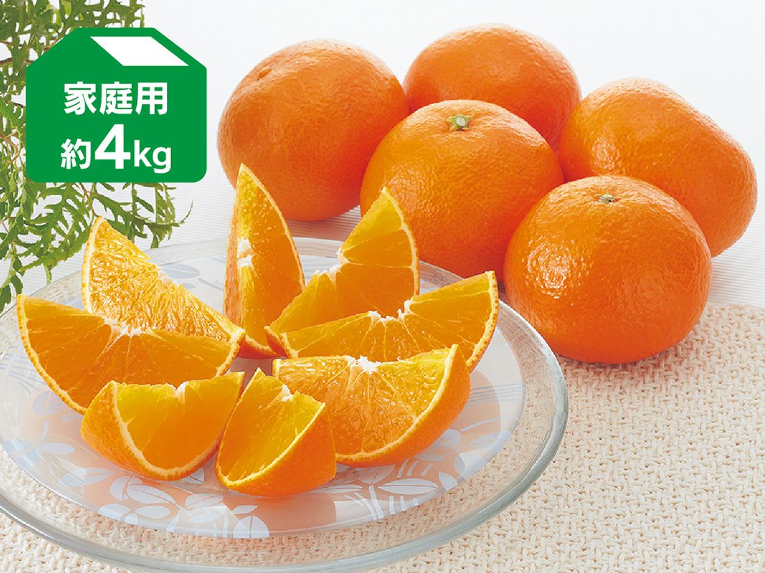 媛まどんな約7kg-家庭用 | のま果樹園