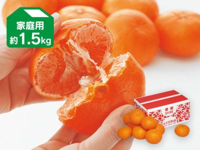 甘平 約5kg-家庭用 | のま果樹園