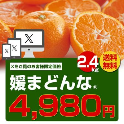 媛まどんな約2.4kg-家庭用【X(Twitter)特別企画】 | のま果樹園 媛まどんな約2.4kg-家庭用【X(Twitter)特別企画】 | のま果樹園