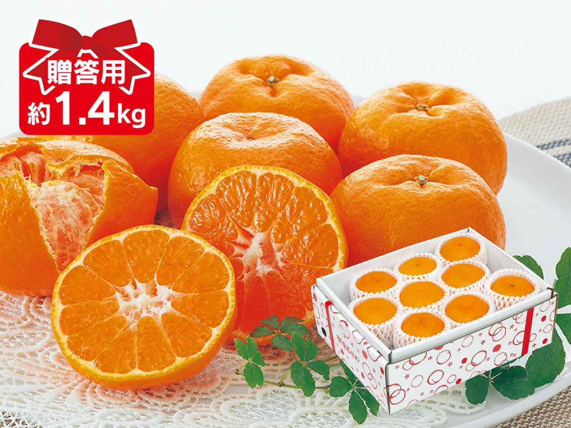 ご予約完成　梨果ポン様 ポンカン約1.4kg-贈答用 | のま果樹園