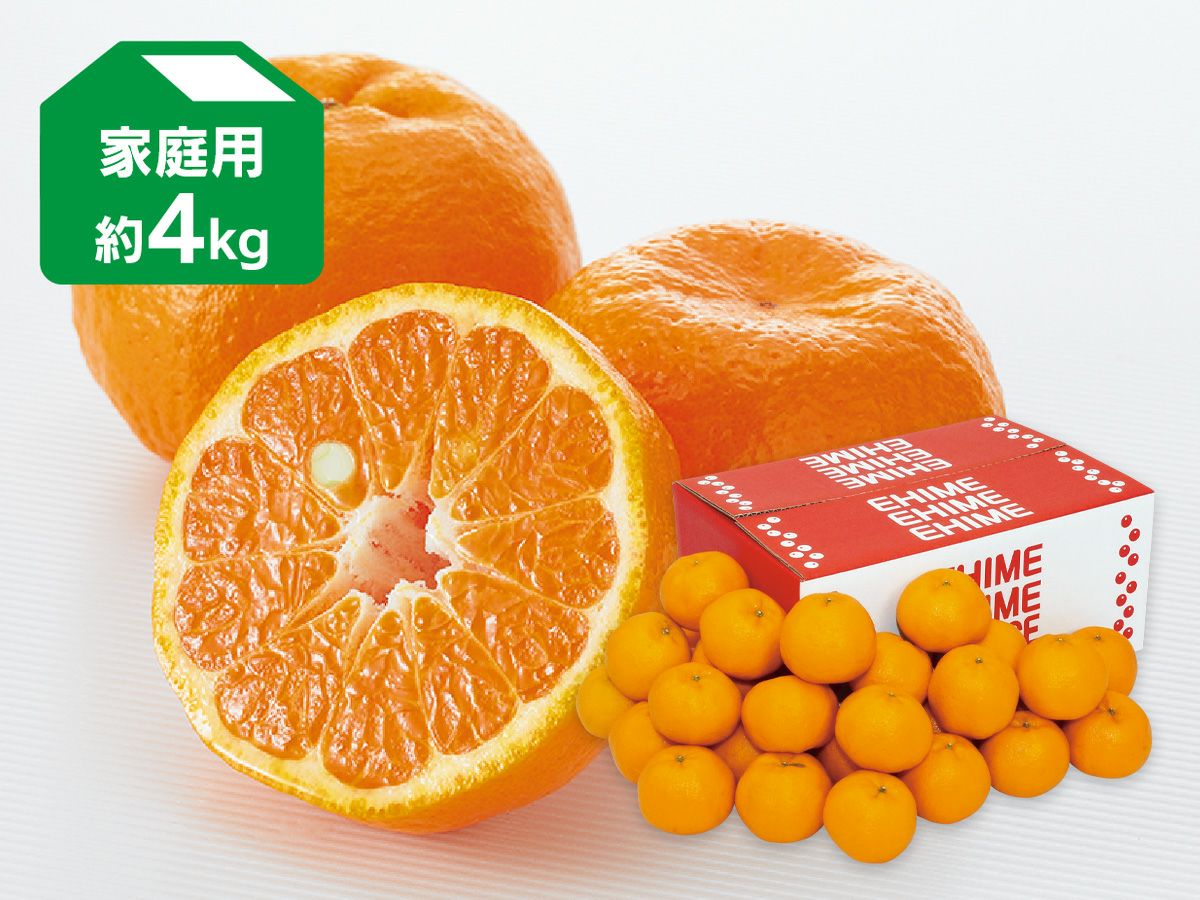 ポンカン約9kg-家庭用 | のま果樹園