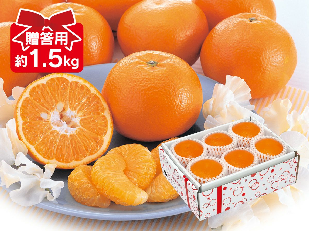 宮内いよかん約7.5kg-贈答用 | のま果樹園
