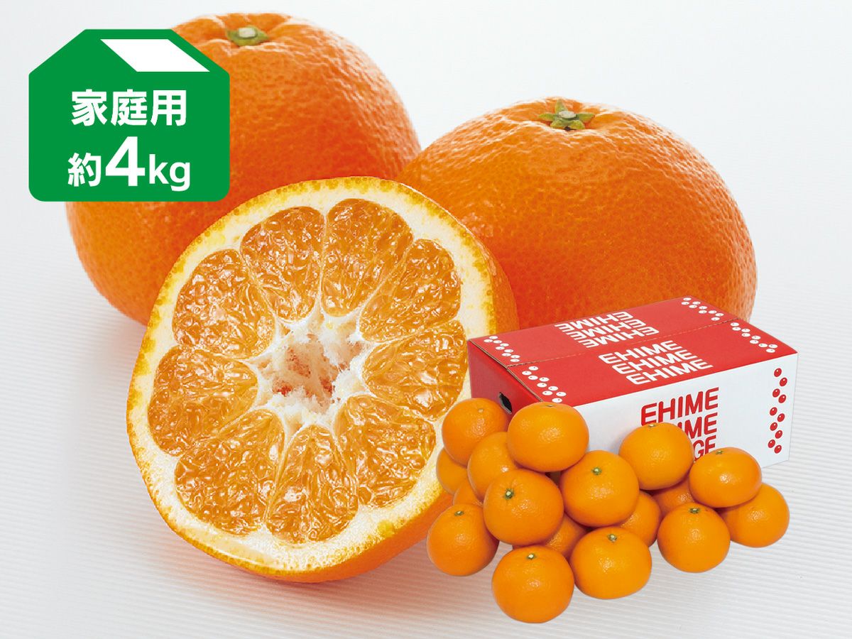 媛まどんな約4kg-家庭用 | のま果樹園