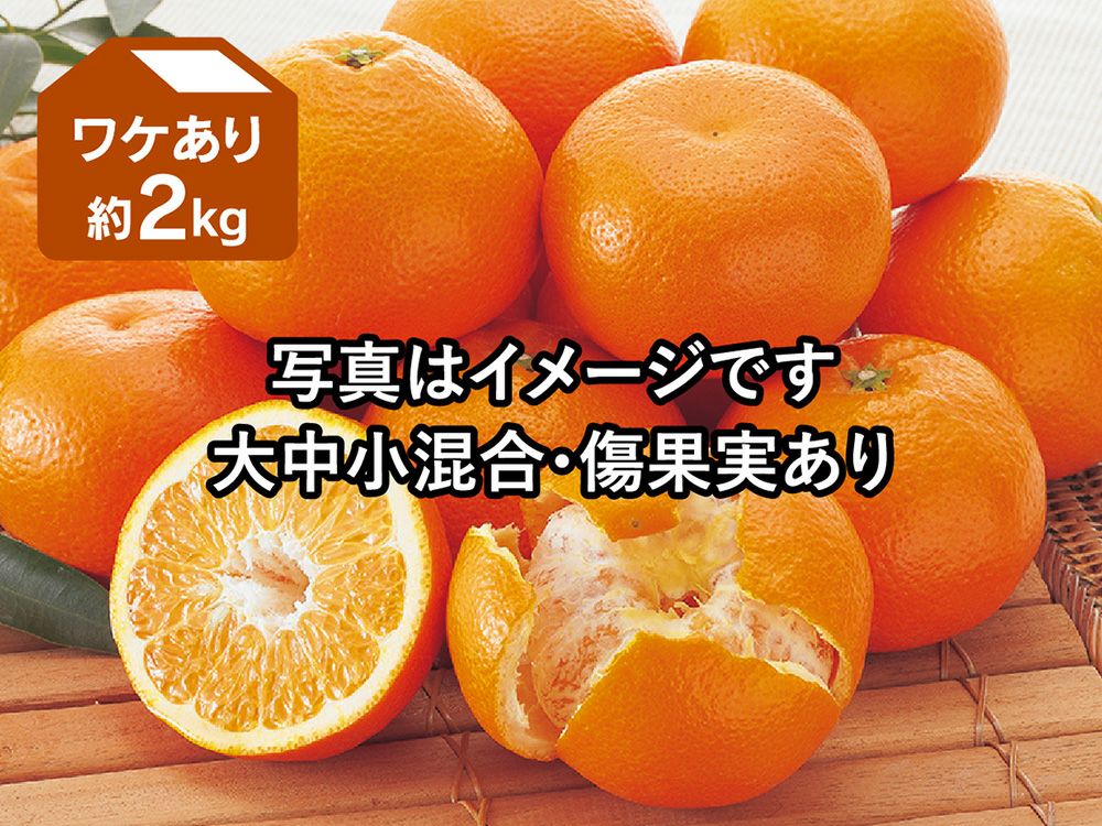 ワケあり | のま果樹園